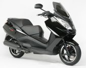 2008 Peugeot Satelis 125 RS photo